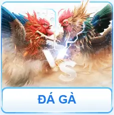 đá gà fb68.africa